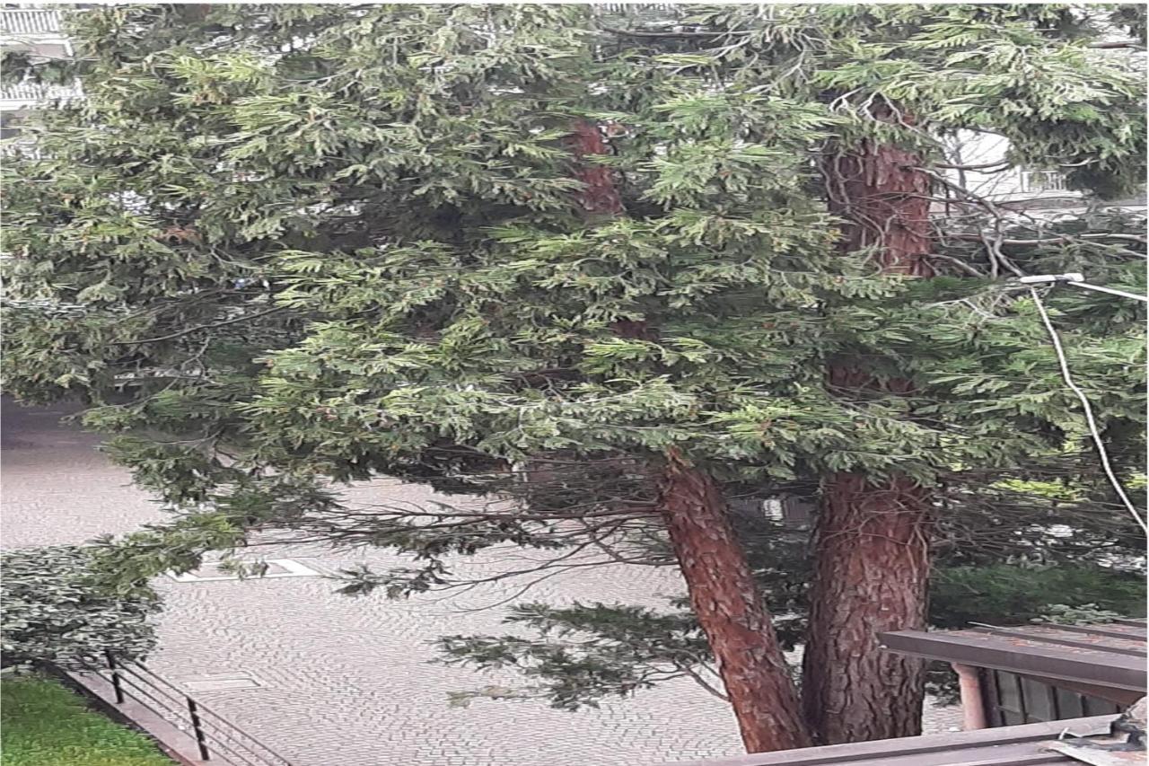 밀라노 Bomboniera Sui Navigli Con A/C & Wi-Fi 아파트 외부 사진